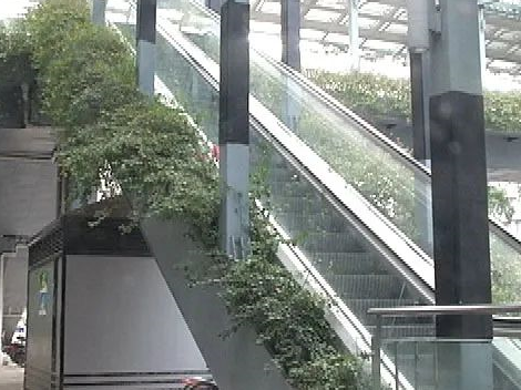 南海天桥市政项目